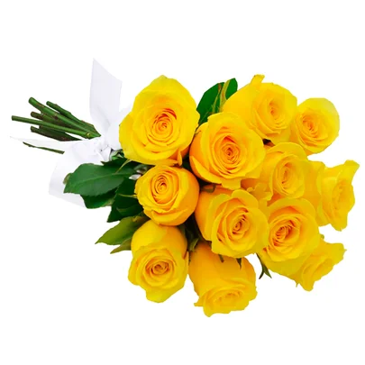 Buquê de 12 Rosas Amarelas 1