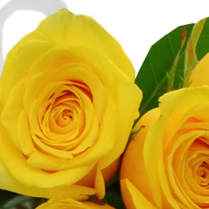 Buquê de 12 Rosas Amarelas 2