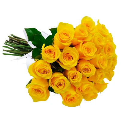 Buquê de 24 Rosas Amarelas 1