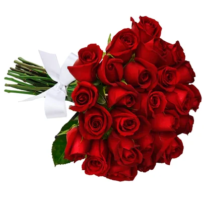 Buquê de 24 Rosas Vermelhas 1