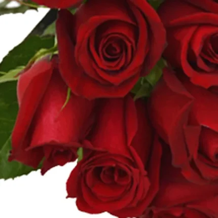 Buquê de 24 Rosas Vermelhas 2