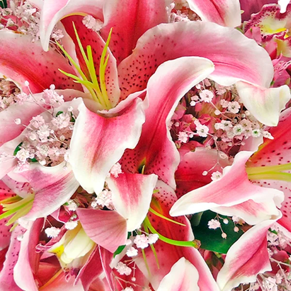 Buquê de Noiva com Lírios Cor de Rosa e Gypsophilas 2